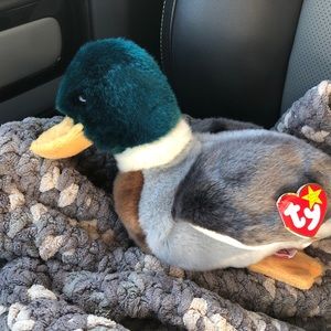 Jake beanie baby buddy